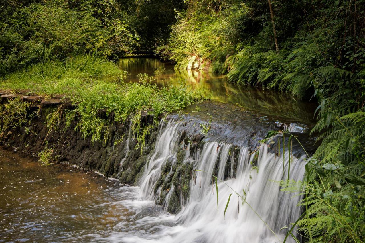 Be&See In River Ovar Esterno foto